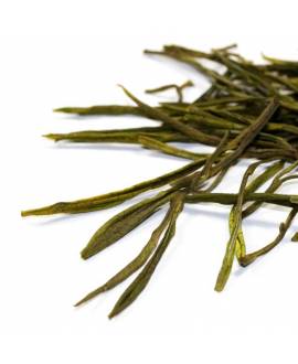 Anji Bai Cha gourmet loose leaf green tea