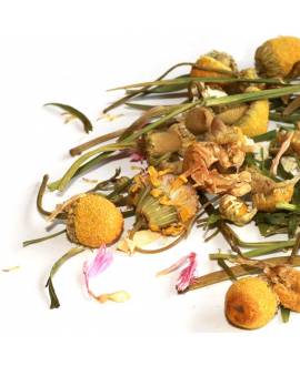 Total Protect Ayurveda Herbal Tea
