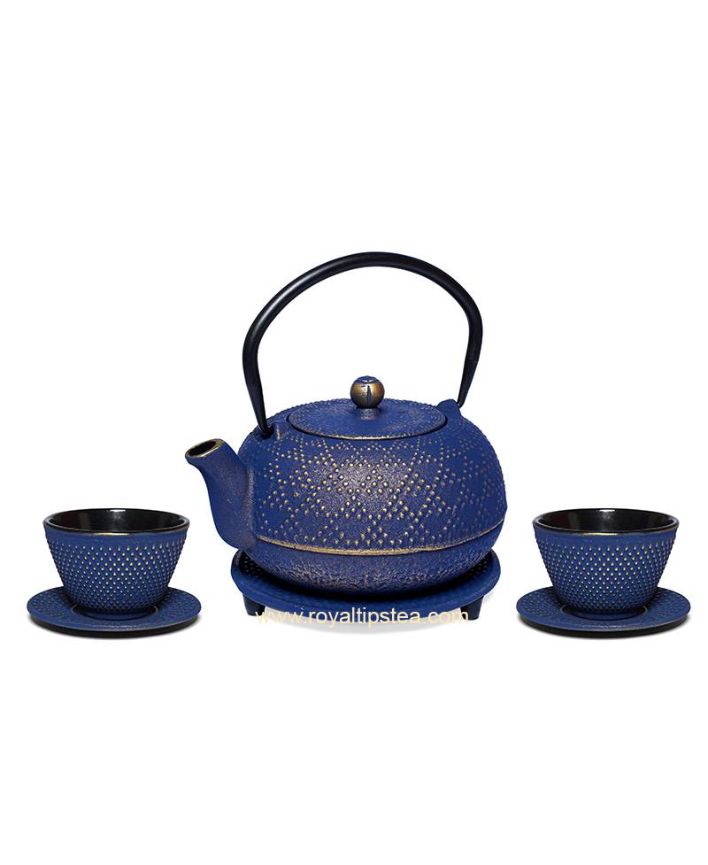 Tetera de hierro fundido, tetera japonesa de hierro fundido, tetsubina azul  con infusor de acero inoxidable para té suelto, macetas recubiertas de