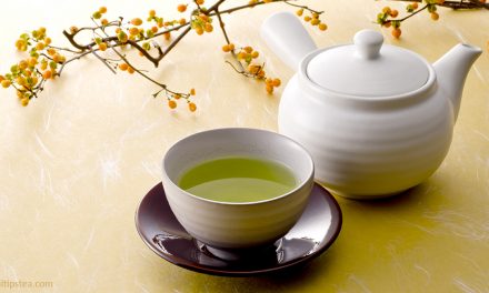 Kukicha – Japanese Twig Tea