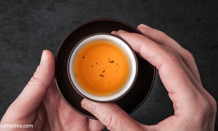 Cata de calidad de té: bolsas de té vs  té a granel