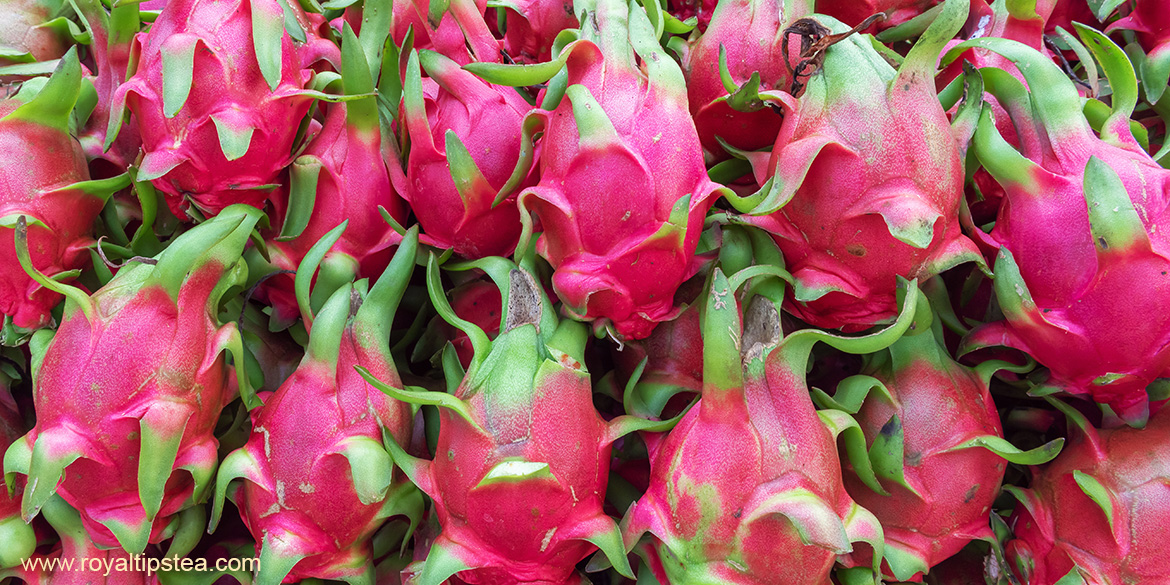 Fruta del dragón o pitaya: qué es, uso, propiedades | Blog Royal Tips
