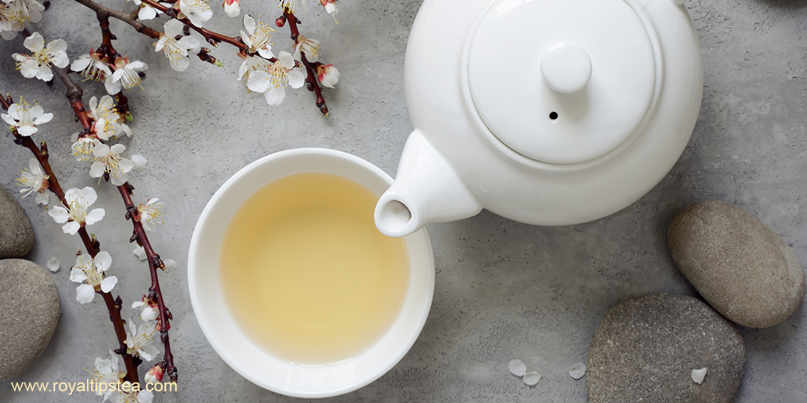 10 datos interesantes sobre el té blanco