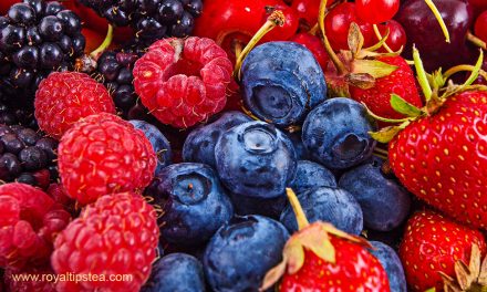 ¿Qué son los frutos rojos? Tipos, propiedades y beneficios. Té de frutos rojos.