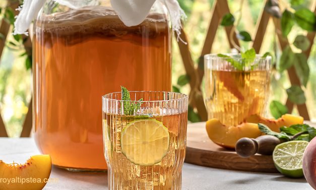 Té kombucha: propiedades y beneficios de una bebida fermentada