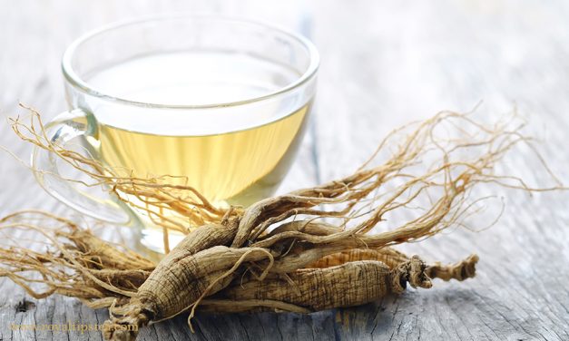 Ginseng: propiedades, beneficios, contraindicaciones, té de ginseng y recetas