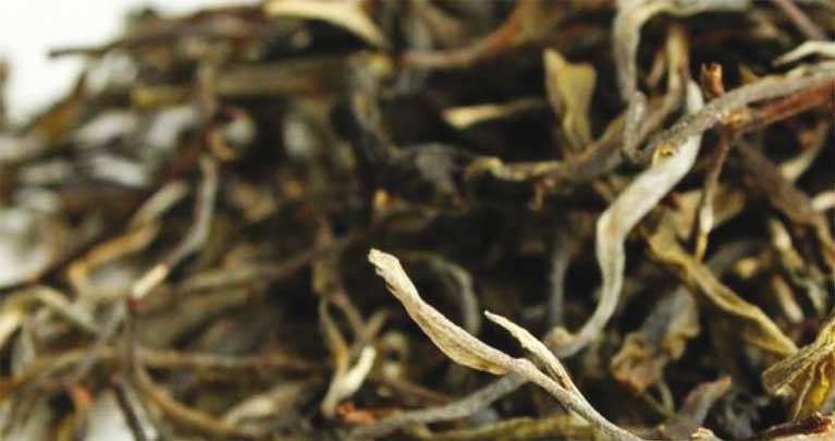 Té pu-erh - tienda de té oscuro online